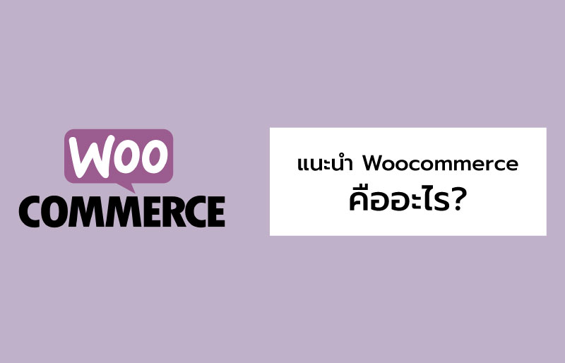 แนะนำ Woocommerce คืออะไร พร้อมเทคนิคที่ทุกร้านควรรู้